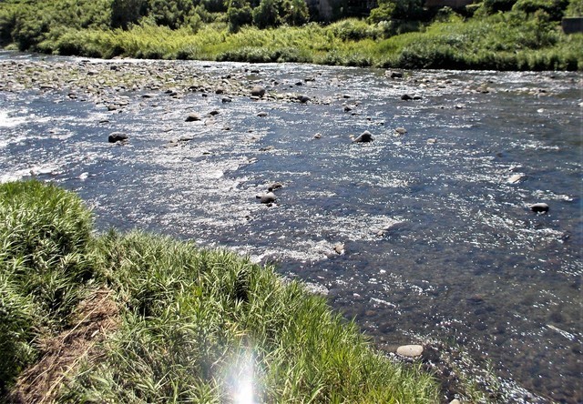 山国川、初めての瀬で鮎釣りを楽しむ。: 喜寿の釣り日記